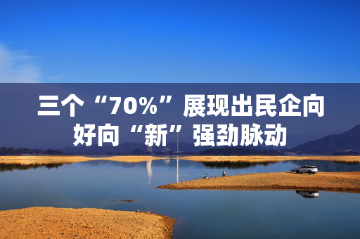 三个“70%”展现出民企向好向“新”强劲脉动