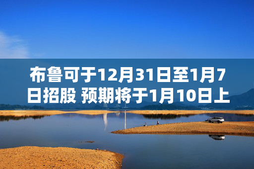 布鲁可于12月31日至1月7日招股 预期将于1月10日上市