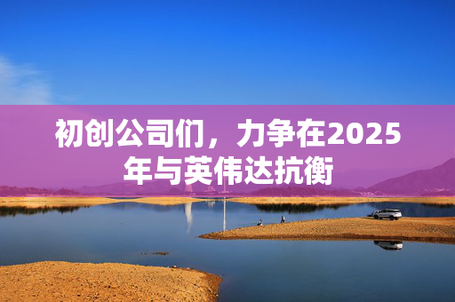 初创公司们，力争在2025年与英伟达抗衡