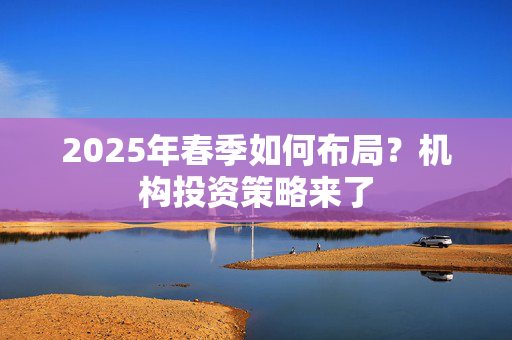 2025年春季如何布局？机构投资策略来了