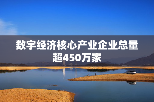 数字经济核心产业企业总量超450万家