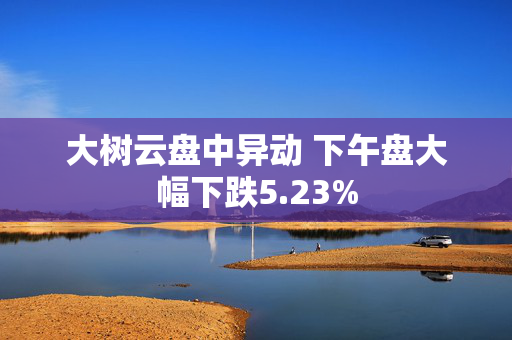 大树云盘中异动 下午盘大幅下跌5.23%