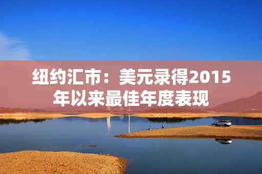 纽约汇市：美元录得2015年以来最佳年度表现