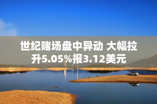 世纪赌场盘中异动 大幅拉升5.05%报3.12美元