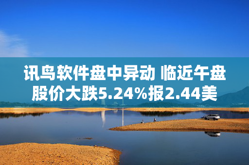 讯鸟软件盘中异动 临近午盘股价大跌5.24%报2.44美元