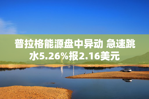 普拉格能源盘中异动 急速跳水5.26%报2.16美元