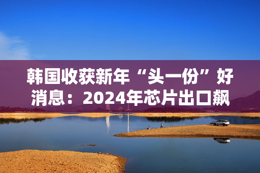 韩国收获新年“头一份”好消息：2024年芯片出口飙升43.9%创新高