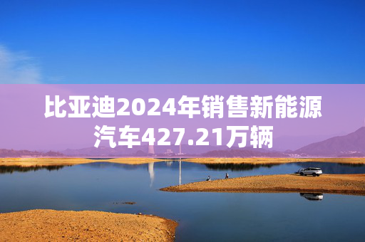 比亚迪2024年销售新能源汽车427.21万辆