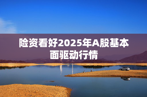 险资看好2025年A股基本面驱动行情