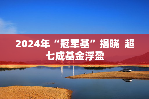 2024年“冠军基”揭晓  超七成基金浮盈