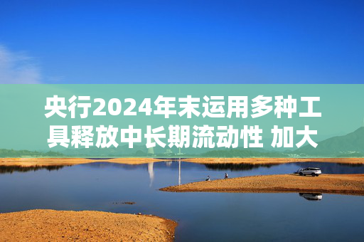 央行2024年末运用多种工具释放中长期流动性 加大货币政策逆周期调节力度