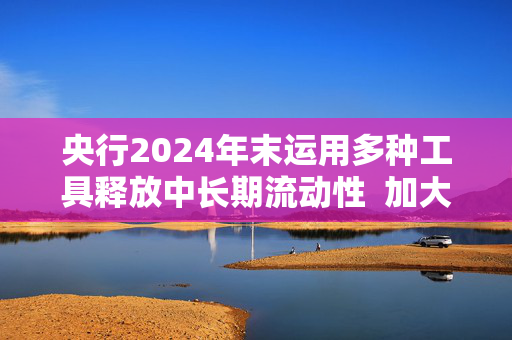 央行2024年末运用多种工具释放中长期流动性  加大货币政策逆周期调节力度