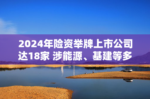 2024年险资举牌上市公司达18家 涉能源、基建等多个领域