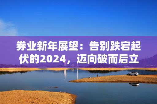 券业新年展望：告别跌宕起伏的2024，迈向破而后立的2025