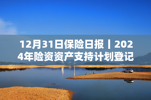 12月31日保险日报丨2024年险资资产支持计划登记情况出炉！前11个月投连险市场回暖，年内有30家险企股权变动