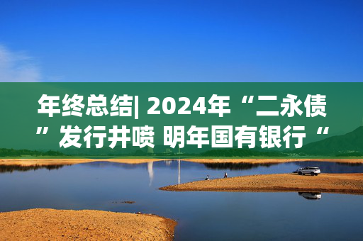 年终总结| 2024年“二永债”发行井喷 明年国有银行“二永债”发行将缩水 中小行仍有增发需求