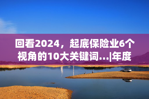 回看2024，起底保险业6个视角的10大关键词…|年度策划