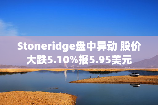 Stoneridge盘中异动 股价大跌5.10%报5.95美元