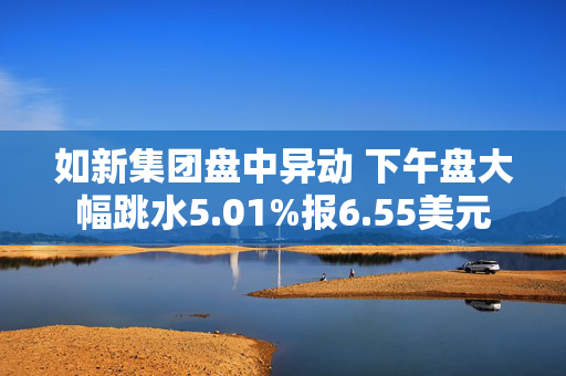 如新集团盘中异动 下午盘大幅跳水5.01%报6.55美元