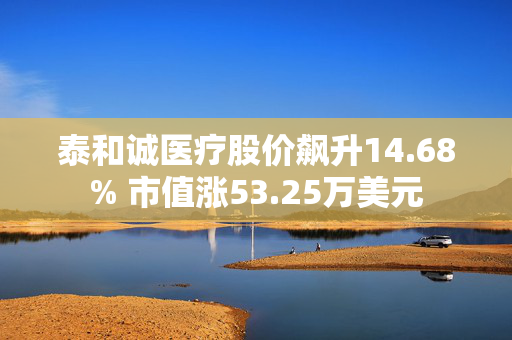 泰和诚医疗股价飙升14.68% 市值涨53.25万美元