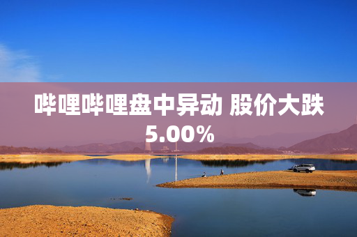 哔哩哔哩盘中异动 股价大跌5.00%