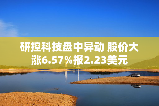 研控科技盘中异动 股价大涨6.57%报2.23美元