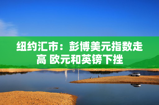 纽约汇市：彭博美元指数走高 欧元和英镑下挫