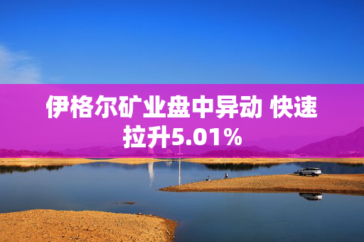 伊格尔矿业盘中异动 快速拉升5.01%