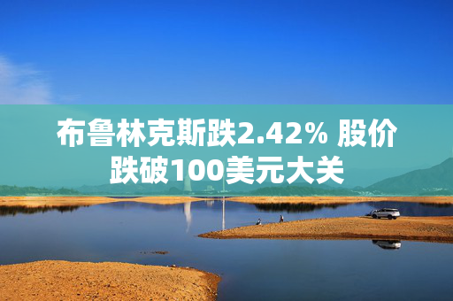 布鲁林克斯跌2.42% 股价跌破100美元大关