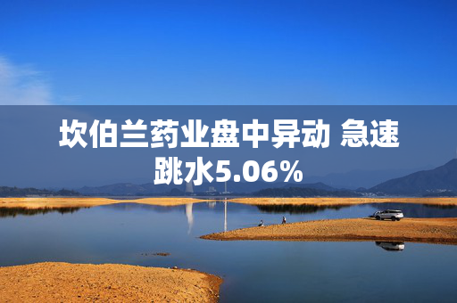 坎伯兰药业盘中异动 急速跳水5.06%