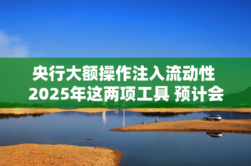 央行大额操作注入流动性 2025年这两项工具 预计会有更多投放