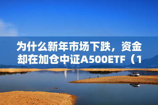 为什么新年市场下跌，资金却在加仓中证A500ETF（159338）？