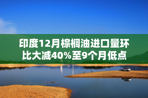 印度12月棕榈油进口量环比大减40%至9个月低点