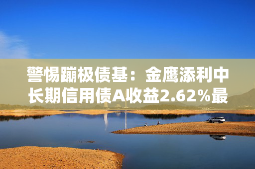 警惕蹦极债基：金鹰添利中长期信用债A收益2.62%最大回撤12.27%