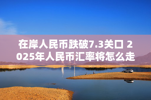 在岸人民币跌破7.3关口 2025年人民币汇率将怎么走？