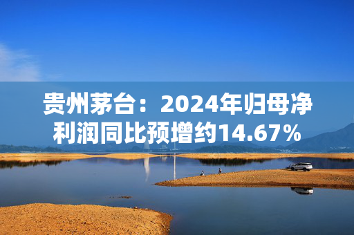 贵州茅台：2024年归母净利润同比预增约14.67%