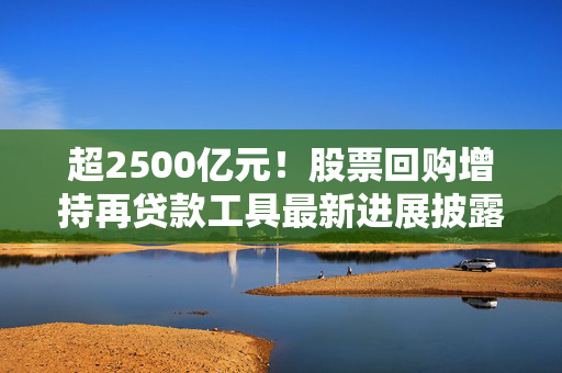 超2500亿元！股票回购增持再贷款工具最新进展披露