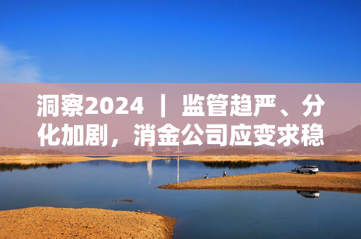 洞察2024 ｜ 监管趋严、分化加剧，消金公司应变求稳