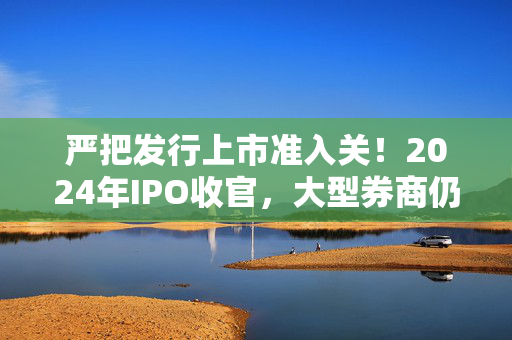 严把发行上市准入关！2024年IPO收官，大型券商仍占主导，中信证券54家IPO企业终止，位列第一