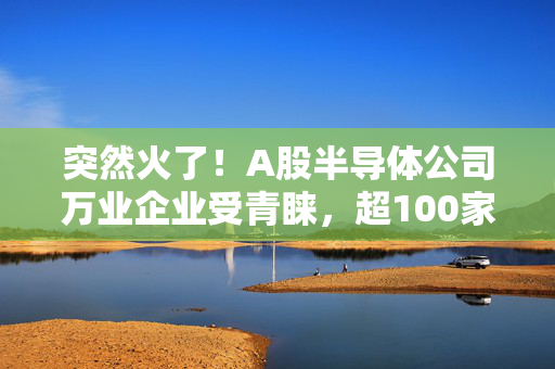 突然火了！A股半导体公司万业企业受青睐，超100家机构现身调研！发生了什么？