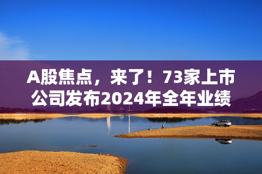 A股焦点，来了！73家上市公司发布2024年全年业绩预告，44家预喜，预喜比例约为60.27%