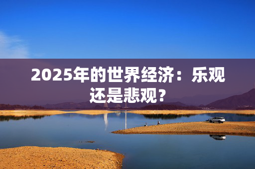 2025年的世界经济：乐观还是悲观？