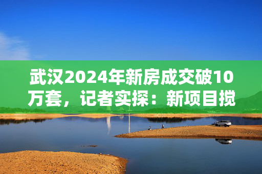 武汉2024年新房成交破10万套，记者实探：新项目搅动市场，供需两端持续助力