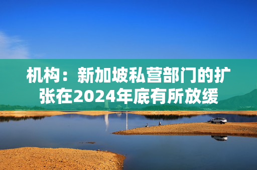 机构：新加坡私营部门的扩张在2024年底有所放缓