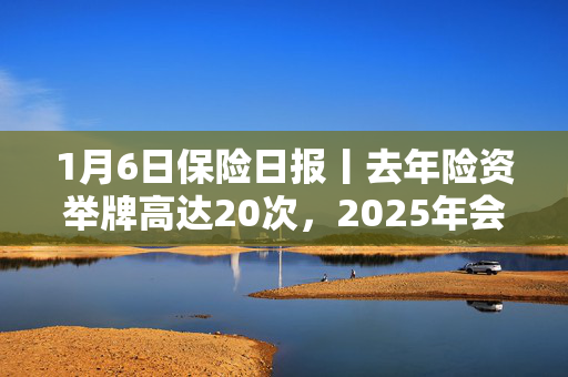 1月6日保险日报丨去年险资举牌高达20次，2025年会否继续？2024年险企持续瘦身健体，撤销近2000家分支机构！