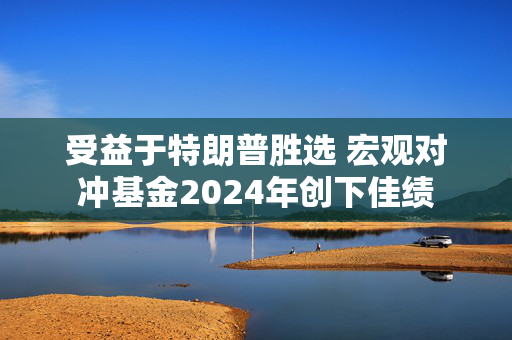 受益于特朗普胜选 宏观对冲基金2024年创下佳绩