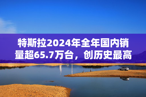 特斯拉2024年全年国内销量超65.7万台，创历史最高纪录