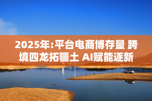 2025年:平台电商博存量 跨境四龙拓疆土 AI赋能逐新王