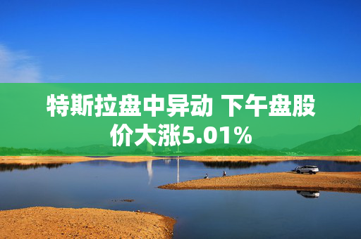 特斯拉盘中异动 下午盘股价大涨5.01%