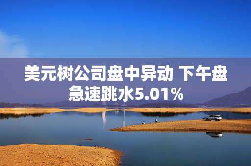 美元树公司盘中异动 下午盘急速跳水5.01%